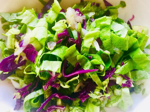 紫キャベツとサラダ菜のサラダ